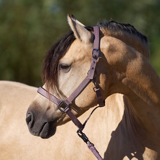 Apauši IRHClassic Sport - marble